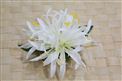 White Small Spider Lily Hair Clip 4.5&quot;