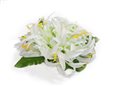 White Spider Lily Hair Clip 4&quot;x 4.5&quot;