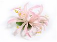 Pink Extra Small Spider Lily Hair Clip 3.75&quot;