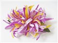 Gradation Lavender Large Spider Lily Hair Clip 6&quot;