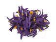 Dark Purple Large Spider Lily Hair Clip 6&quot;