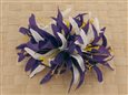 Deep Purple &amp; White Large Spider Lily Hair Clip 6&quot;